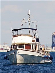 Immagine WhatsApp 2023-10-28 ore 09.56.34_6042c7cf