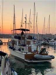 Immagine WhatsApp 2023-10-28 ore 09.56.33_c54c45bc