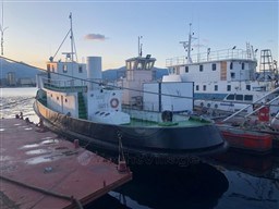 CANTIERE NAVALE PELLEGRINO - RIMORCHIATORE 22 MT - exteriors