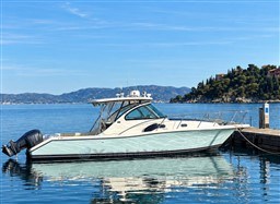 PURSUIT - PURSUIT 3770 - exteriors
