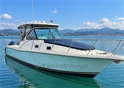 PURSUIT - PURSUIT 3770 - exteriors