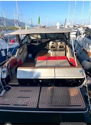 SEA RAY - SEA RAY 300 WEEKENDER - exteriors