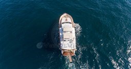 CANTIERE NAVALE DI CHIAVARI - HERON 21 - exteriors