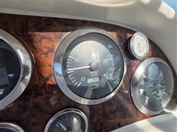 SEA RAY - SEA RAY 335 DANCER - electronic