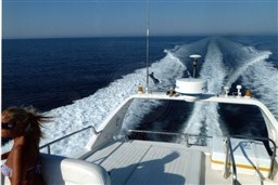 AZIMUT YACHTS - AZIMUT 43 - exteriors