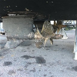 INNOVAZIONI E PROGETTI - ALENA 48 - exteriors