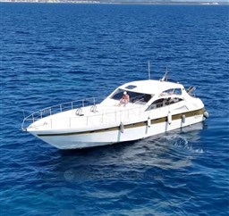 BLIZZARD - BLIZZARD 55 - exteriors