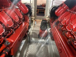 INTERMARINE - V 50 - motors