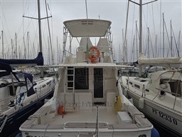 BERTRAM YACHTS - BERTRAM 390 CONVERTIBLE - exteriors