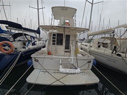 BERTRAM YACHTS - BERTRAM 390 CONVERTIBLE - exteriors