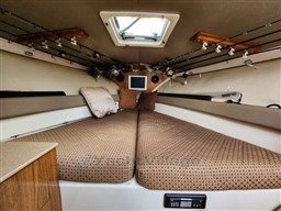 PURSUIT - PURSUIT SF 345 DRUMMOND SPORTFISH - interiors