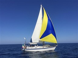 HALLBERG RASSY - HALLBERG RASSY 39 - exteriors