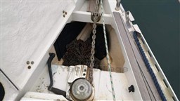 COMAR YACHTS - GENESI 43 - exteriors