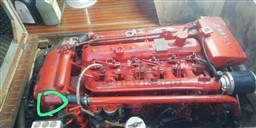 C.A.R.I.M.A. - GOLETTA 17 MT - motors