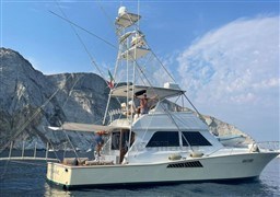 VIKING MARIN - VIKING 50 - exteriors