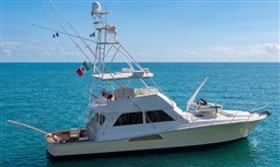VIKING MARIN - VIKING 50 - exteriors
