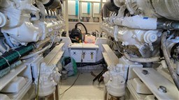 VIKING MARIN - VIKING 50 - motors