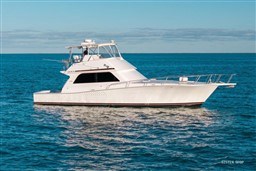 VIKING MARIN - VIKING 50 - exteriors