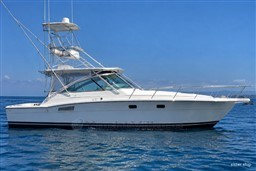 TIARA YACHTS - TIARA 3600 OPEN - exteriors
