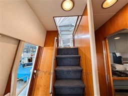 Pic (40)
