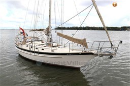 j55c9cq347.jpg