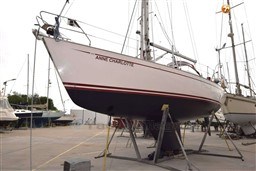 cujjq895cz.jpg
