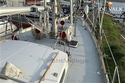 0i4ir8w554.jpg