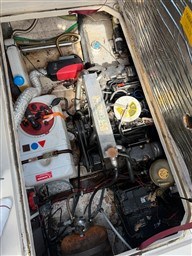 zf7o9uc53h.jpg
