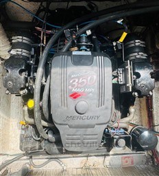 y3m391ne7x.jpg