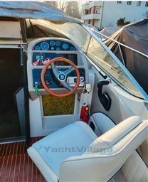 d5ty6cv6l9.jpg