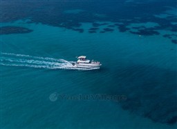 Mochi Craft 44 Fly Edelweiss