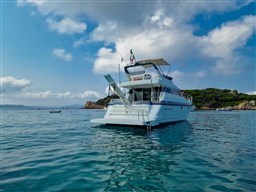 Mochi Craft 44 Fly Edelweiss