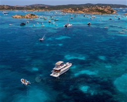 Mochi Craft 44 Fly Edelweiss