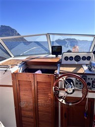 Boston Whaler 22 REVENGE