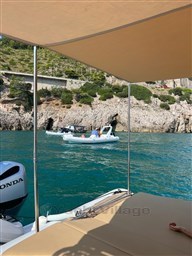 WhatsApp Image 2023-10-03 at 08.54.07