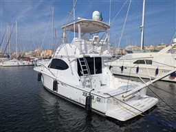 Tiara 3900 Conv. aft profile