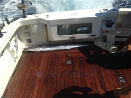 Tuccoli 280 Moby Dick Osa pescato