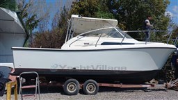 Tuccoli 280 Moby Dick .jpg