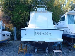 Tuccoli 280 Moby Dick .jpg