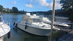 Tuccoli 280 Moby Dick .jpg