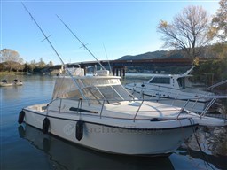 Tuccoli 280 Moby Dick .jpg