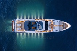 Marican Forever fly detail