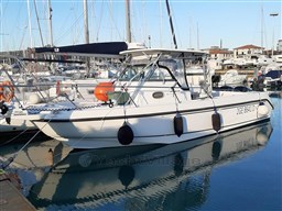 Boston 28 Outrage profile