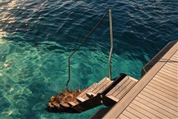 Swim Platform & Ladder