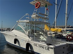 Aft profile