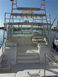 Cockpit view