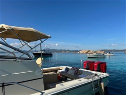 Boston Whaler 25 Revenge wa