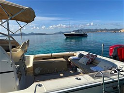 Boston Whaler 25 Revenge wa