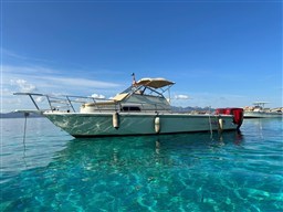 Boston Whaler 25 Revenge wa