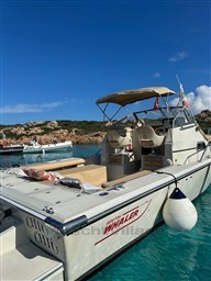 Boston Whaler 25 Revenge wa